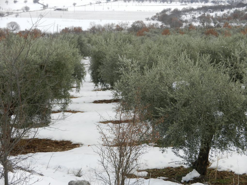 Qualche foto del paese e dei paesaggi
Quelque foto du village et des paysages