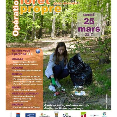Opération forêt propre dans le bois de Meudon (92)