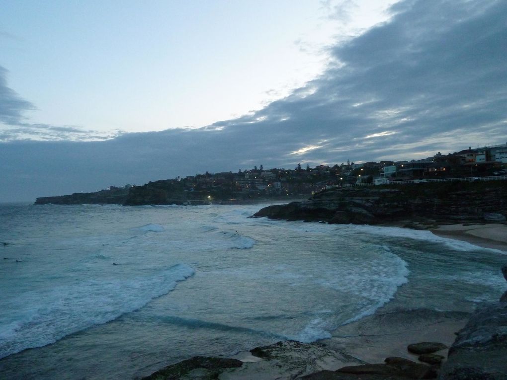 Quelques photos de ben et de tamarama