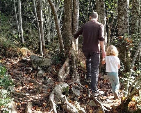 La forêt des expériences, jolie balade sensorielle et poétique