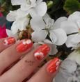 Aniya Nail Art