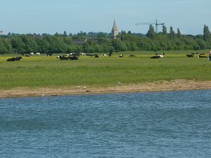 Port Meadow