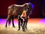 NOUVEAU CABARET EQUESTRE A FONTAINE GUERIN (49)