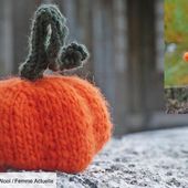 Une citrouille et un bonnet assorti à tricoter pour Halloween