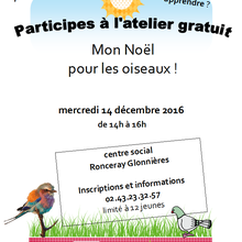 Mon Noël pour les oiseaux centre social des Glonnières, les inscriptions sont ouvertes !