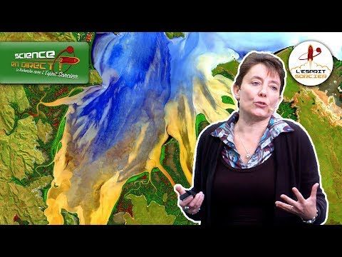 Science En Direct - Le changement climatique vu de l'espace | Pascale Ultré-Guérard