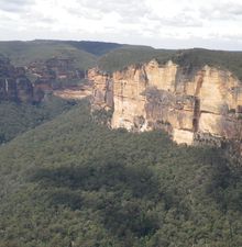 16 Mars 2012 : Blue Mountains ( Leura)