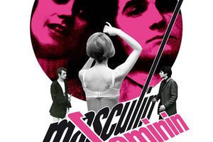 Masculin féminin