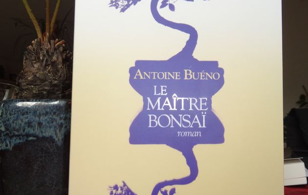 Le Maître Bonsaï de Antoine Buéno