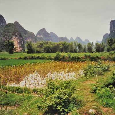 Chine 1999, suite ( 2 ).