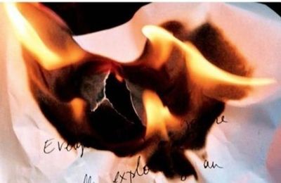 Roy Claude Le Chat Qui Parlait Malgre Lui Lirelire