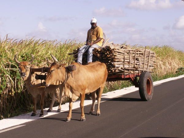 voyage 2007 , super , les caraïbes...