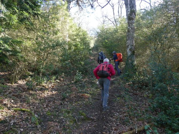 Arques Les Berques 17 Fév 2019