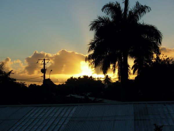 <strong>Photo prise sur les &icirc;les de Moorea, Tahiti et en bretagne</strong>