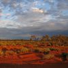 Sortir du bush et gravir l'Uluru. Le rock n'roll au pays des wallabies (Part 2)