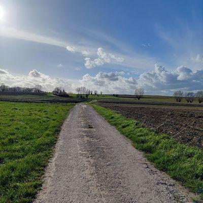 PLOEGSTEERT