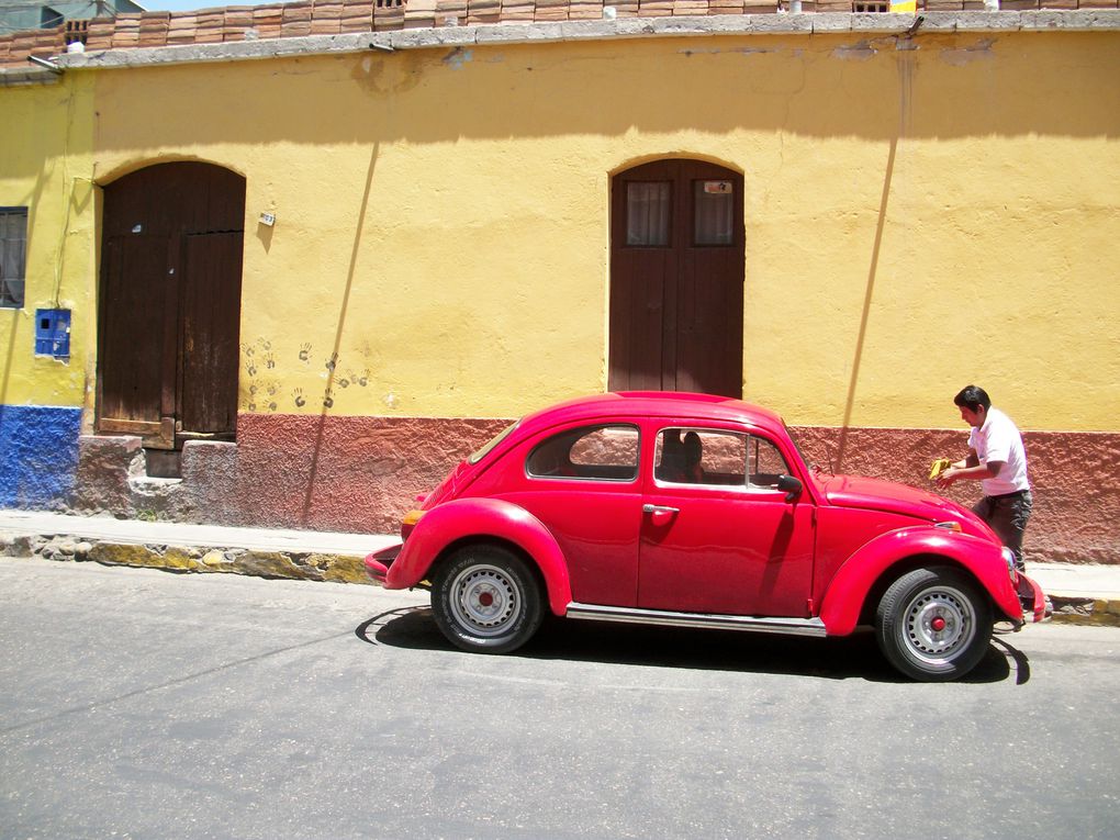 Album - Canyon-de-Colca