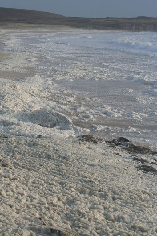 Les photos du mois de Décembre 2009, surtout des plages ...
En bonus, j'en ai rajouté d'autres prises en aout et juillet que je n'avais pas eu le temps de mettre en ligne ... Amusez vous à trouver lesquelles ...