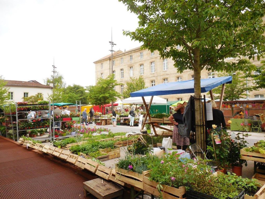 Marché bio - rendez-vous avec la nature - 23 mai 2015