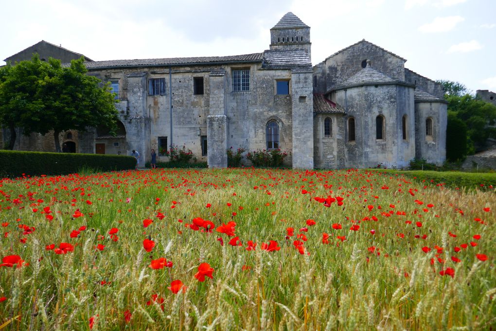 St Rémy de Provence. Saint-Paul de Mausole.