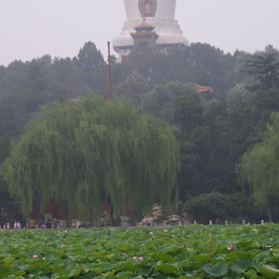 Pékin, deuxième chance