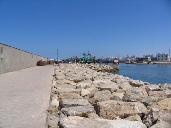 quelques 106 photos d'Essaouira, de son port, de ses mouettes et de ses chats plus ou moins mités