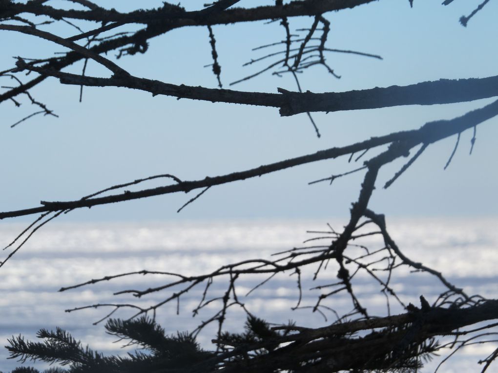 Par un bel après-midi à Métis-sur-mer .