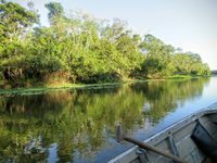 Amazonie péruvienne: Iquitos, Muyuna et San Juan de Yanayacu. 31 août/ 5 septembre 2016