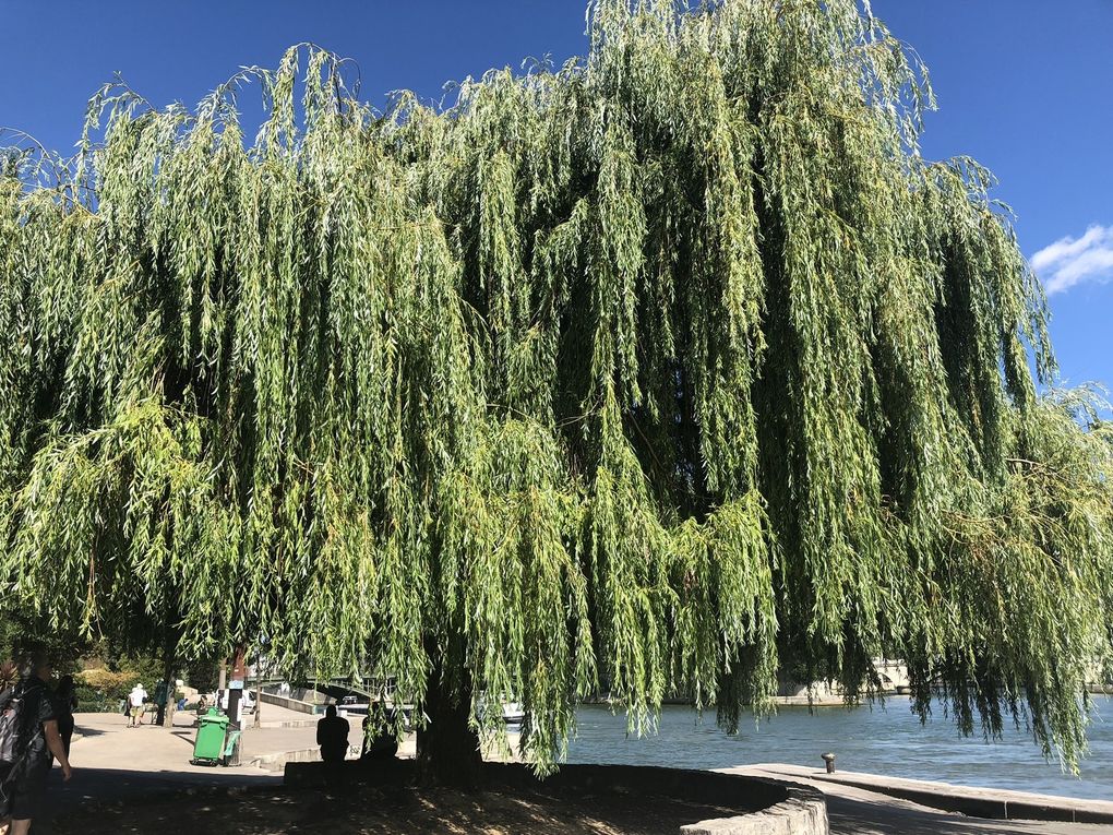 Paris-Plages, édition 2018..