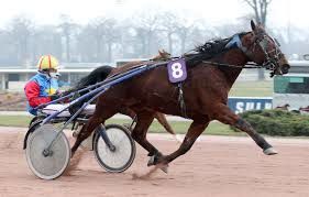 30 Décembre 2016   VINCENNES — TROT ATTELÉ