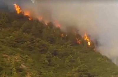 Incendies : les forêts de Béjaïa brûlent
