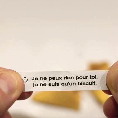 Humour Quand Un Biscuit Ne Peut Rien Faire Pour Nous Source D Optimisme