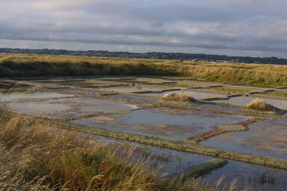 Images des marais salants de Gu&eacute;rande&nbsp;au lever du soleil