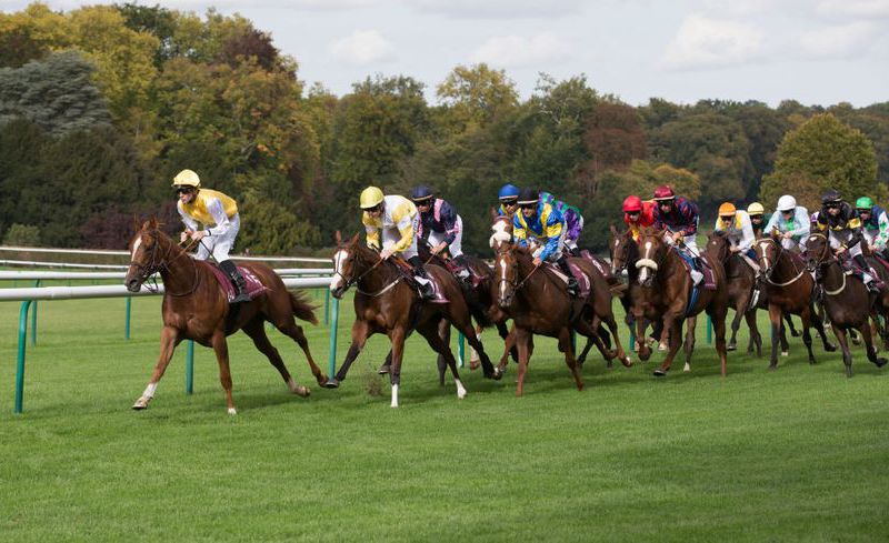 MARDI 01 MARS 2022/CHANTILLY