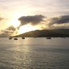 Album - Whitsunday Dive Adventure