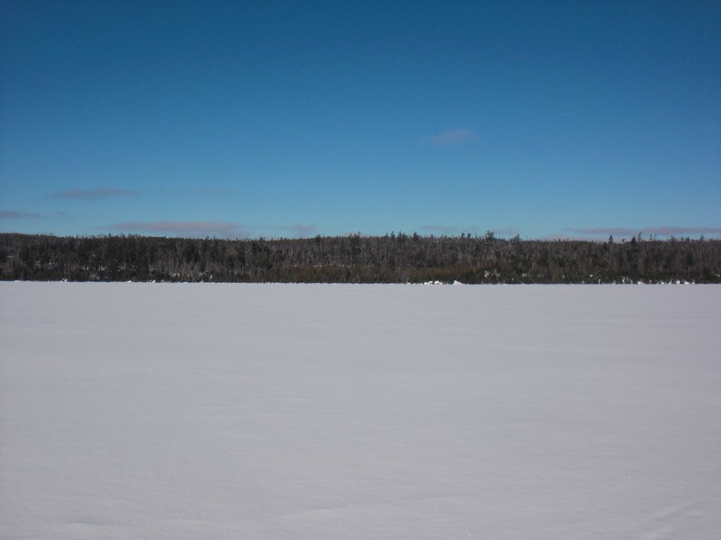 du 2 février au 5 février 2012