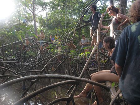 Album - Les EEDF en Guyane : Selection Risquetout-Maison de la Nature