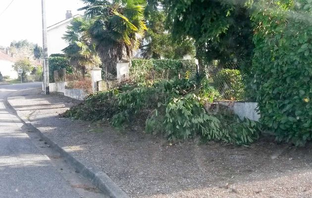 Fumélois : Collecte des déchets verts