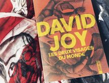 Les deux visages du monde 