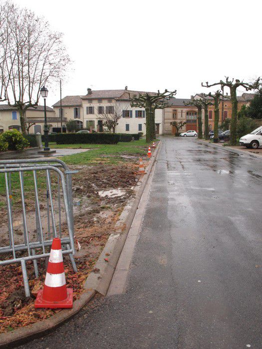 Photo 1 et 2 L’allée avant la coupe – 3 et 4 après l’abattage des platanes – 5 et 6. Travaux de terrassement du futur parking – 7 Un Jeune platane abattu, surement un autre parking entre les arbres. De nombreuses villes et villages mettent en place une réduction drastique de l’impact de la voiture en milieu urbain, à Lisle sur Tarn on fait le contraire… 