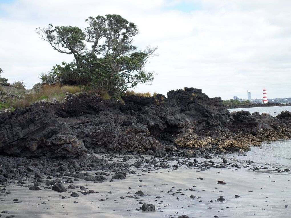 Rangitoto Island : l'île du volcan qui sommeille