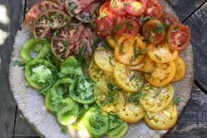 TERRE-à-TERRE : Le retour de la table végétarienne et le rappel des stages de cet été