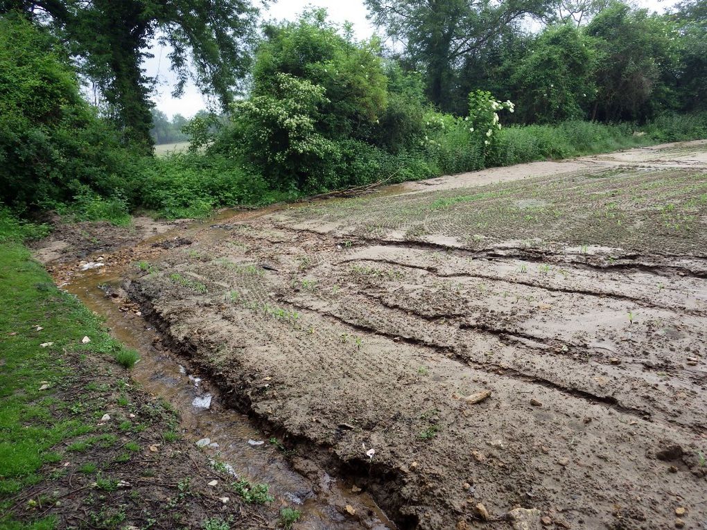 Un sentier de randonnées à Vernouillet ...