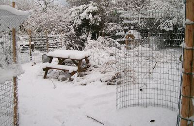 Jardin sous la neige