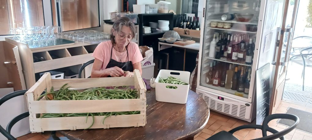 Equeuter les haricots verts de la ferme Bio de Clément...un travail quotidien!, quelques entrées,  plats et desserts  de la saison 2023!     de 2023 