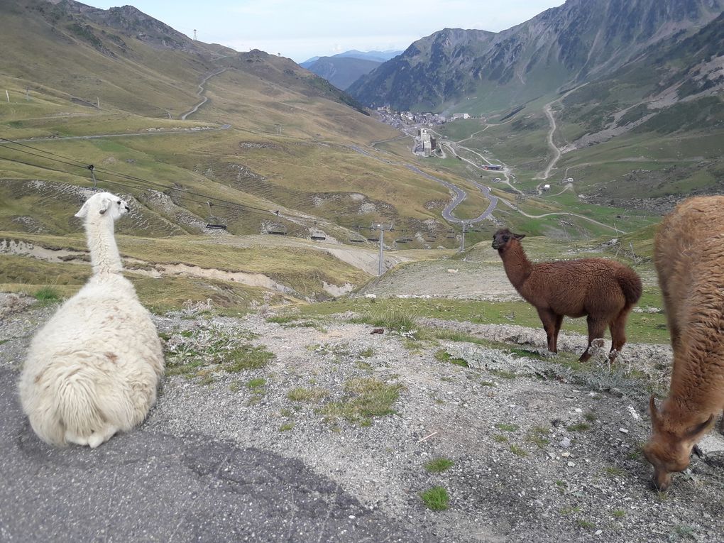 Les Pyrénées - Août 2019