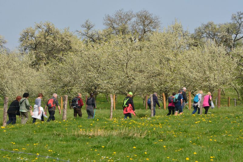 Marche du 14 Avril 2022