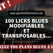 100 Licks blues modifiables et transposables - 2016