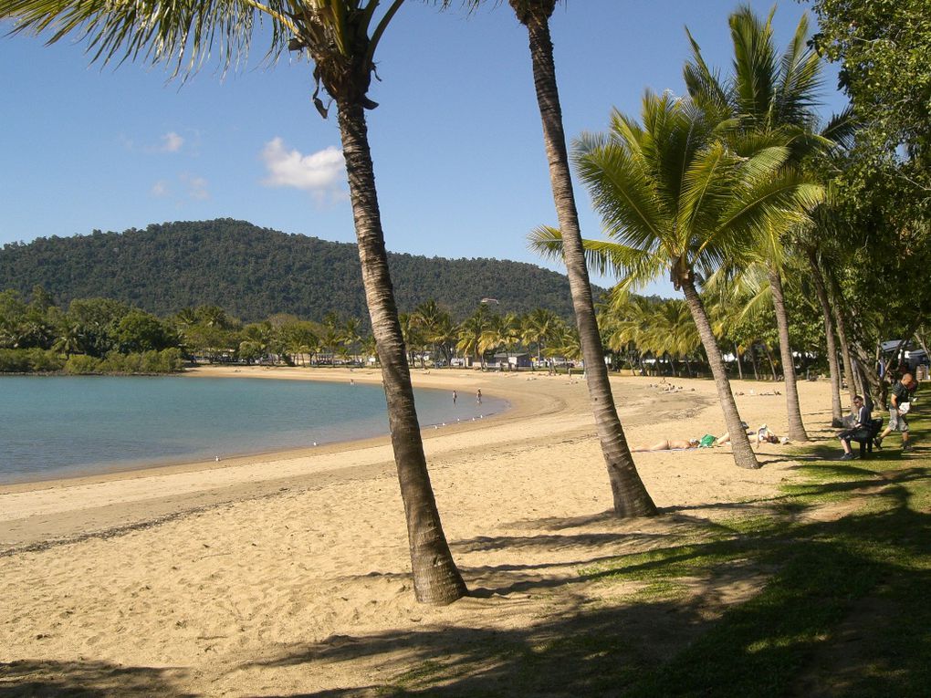 Album - Whitsunday Dive Adventure