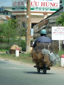 Ho Chi Minh, Delta du Mekoong, Quy Nhon, Hoi An, Parc de Cat Tien et Bach Ma, Hue, Hanoi, Sapa et la baie d'Halong... tout un programme en un mois, seule et avec mes parents !